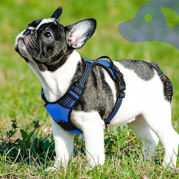 Eagloo Dog Harness Small Sized Dog, No Pull Service Vest with Reflective Strips and Control Handle, Adjustable and Comfortable for Walking, No Choke Pet Harness with 2 Metal Rings, Blue, S-PurrikoPets