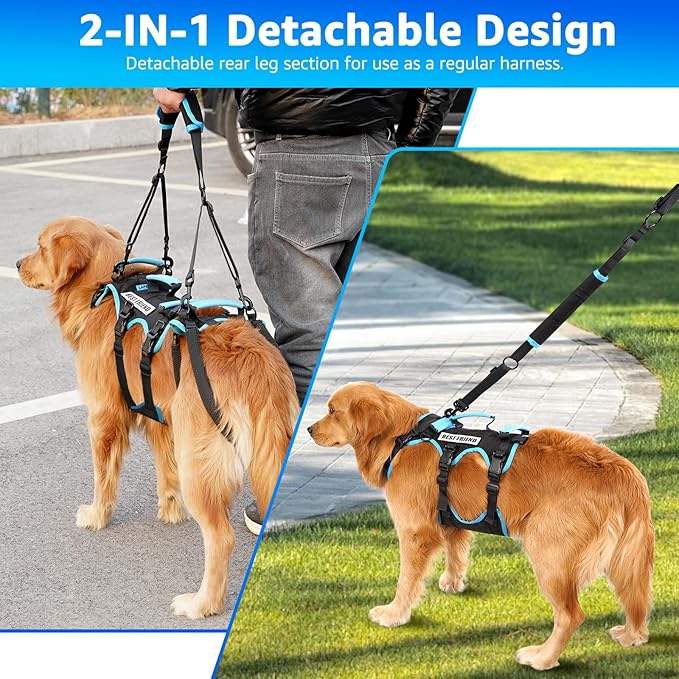 Dog Lift Harness for Medium Male Dogs Friendly, 2 in 1 Detachable Support Harness, Full Body Dog Carrying with 4 Handles for Old/Disabled/Joint Injuries Dogs (Black, Medium)-PurrikoPets