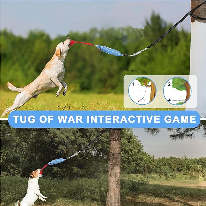 Dog Tree Tug of War Toy with Squeaky, Tethered Tug of War Outdoor Toy Self Play for Aggressive Chewers, Durable Bungee Cord with Chew Ball-PurrikoPets