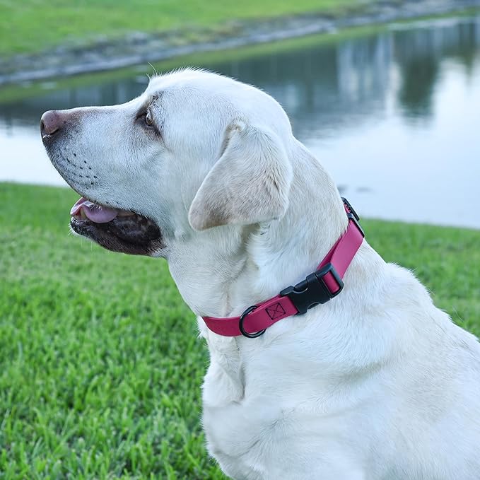 Dogline Biothane Waterproof Dog Collar with Quick Release Buckle Strong Coated Nylon Webbing with Odor- Proof for Easy Care Easy to Clean Fits Small Medium Large Dogs, Magenta Pink 1" W 15-23" L-PurrikoPets