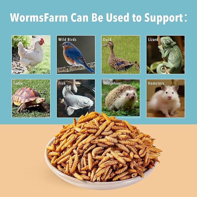 5LB Dried Black Soldier Fly Larvae Treat for Chicken More Calcium Than Mealworms,for Laying Hen,Wild Birds (5 Pound)-PurrikoPets