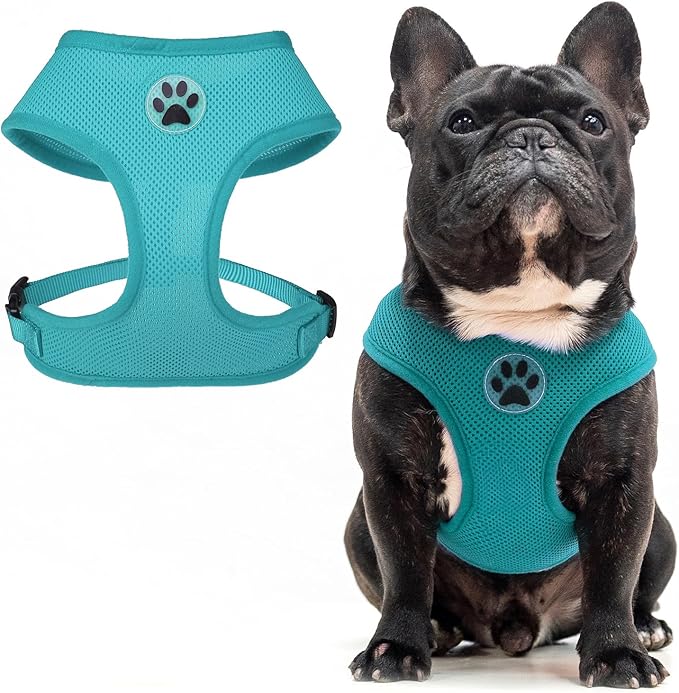 BINGPET Small Dog Harness - Breathable Mesh Puppy Cat Harnesses - No Pull Adjustable Dog Harness Dog Vest Harness for Small and Medium Dogs-PurrikoPets