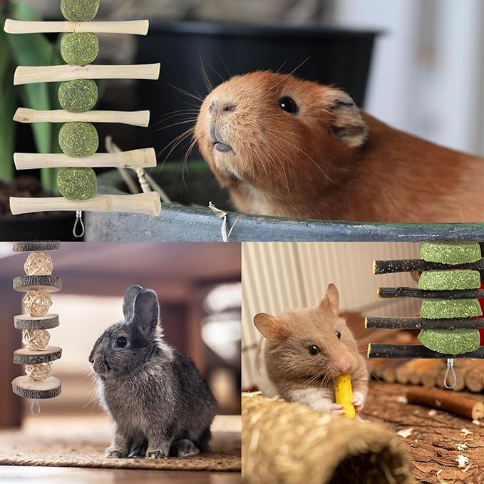 ERKOON Bunny Chew Toys, Rabbit Chew Toys for Teeth Grinding, Improve Dental Health, 100% Natural Apple Wood Timothy Grass Cake Treats for Rabbits Guinea Pigs Chinchillas Bunnies Hamsters (5 Pcs)-PurrikoPets