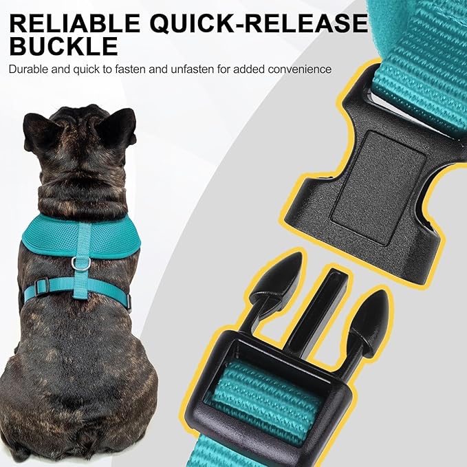BINGPET Small Dog Harness - Breathable Mesh Puppy Cat Harnesses - No Pull Adjustable Dog Harness Dog Vest Harness for Small and Medium Dogs-PurrikoPets