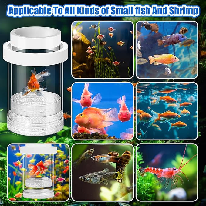 2 Pcs Breeder Box for Fish Tank Aquarium Breeder Separation Net Breeding Box with Suction Cup for Small Fish Shrimp Clownfish Guppy(White,M)-PurrikoPets