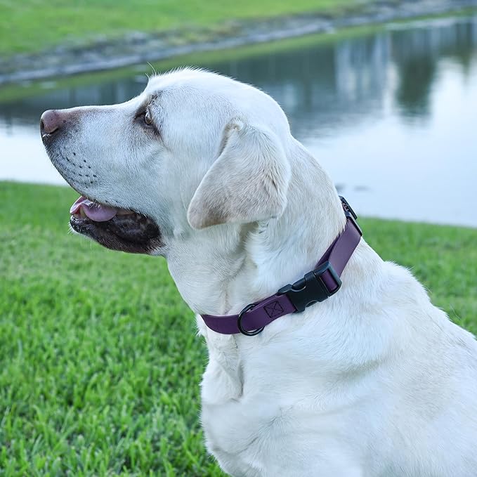 Dogline Biothane Waterproof Dog Collar with Quick Release Buckle Strong Coated Nylon Webbing with Odor- Proof for Easy Care Easy to Clean Fits Small Medium Large Dogs, Purple 3/4" W 12-19" L-PurrikoPets
