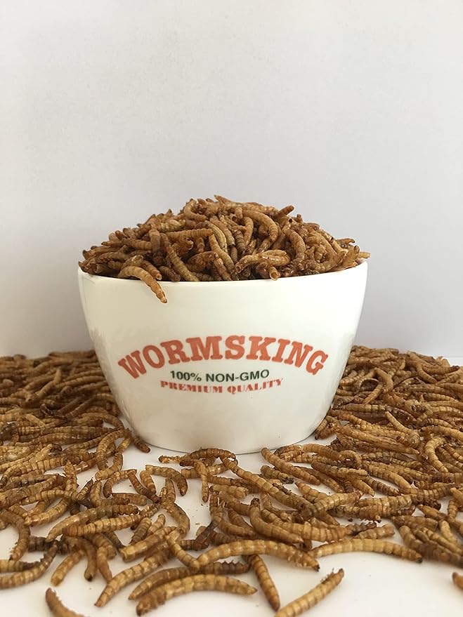 5LB Dried Black Soldier Fly Larvae, More Calcium Than Dried Mealworms, High Protein Chicken Feed,Duck Food, BSFL, Poultry Treats-PurrikoPets