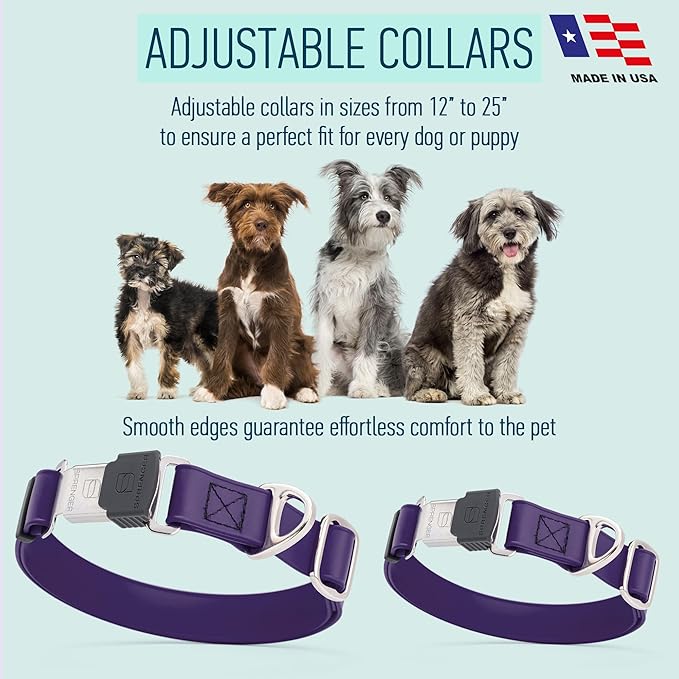 Dogline Biothane Waterproof Dog Collar with Herm Sprenger Black Stainless Steel Quick Release Buckle – Heavy Duty Tactical Durable Collar for Dogs – Comfortable and Safe Pet Collar W1 L 15-25" Purple-PurrikoPets