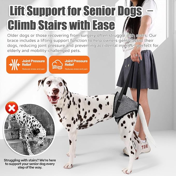 Dog Sling for Medium Large Dog Rear Leg, Lift Harness Provide Support with Muscle Atrophy and Joint Problems for Elderly Injured Arthritic Pet, Dog Weak Rear Legs Provides Rehabilitation Aid-PurrikoPets