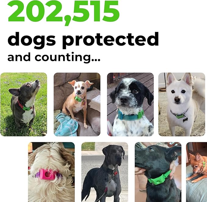 FurLife Green Dog Tag, Flea and Tick Prevention for Dogs - Waterproof Pendant for Collar, Safe for All Breeds-PurrikoPets