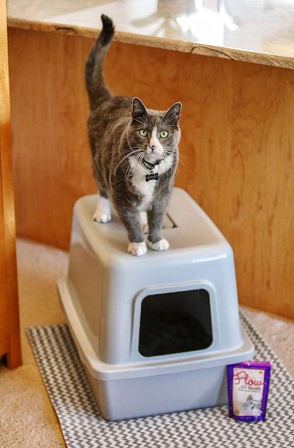 Flow Soft Chews for Cats. Daily Support for UT Health. Scientifically Formulated with Natural Ingredients to Keep Urinary Tract Flowing Naturally-PurrikoPets