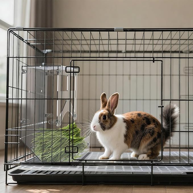 Acrylic Rabbit Hay Feeder with Lid, Transparent Hanging Food Dispenser Hay Feeder for Bunny Rabbits Guinea Pig Cage Chinchillas Hamsters Small Pets and Animals(Large-PurrikoPets