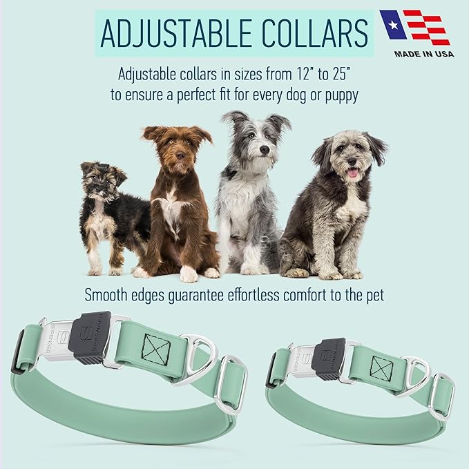 Dogline Biothane Waterproof Dog Collar with Herm Sprenger Black Stainless Steel Quick Release Buckle – Heavy Duty Tactical Durable Collar for Dogs – Comfortable Pet Collar W3/4" L12-19 Sage Green-PurrikoPets