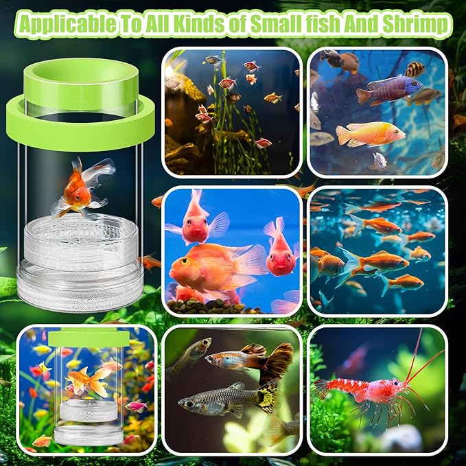 2 Pcs Breeder Box for Fish Tank Aquarium Breeder Separation Net Breeding Box with Suction Cup for Small Fish Shrimp Clownfish Guppy(Green,M)-PurrikoPets