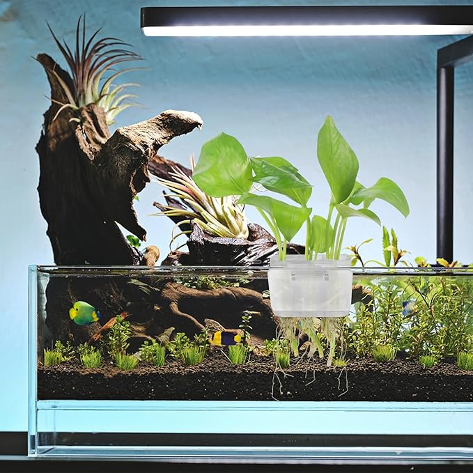 3 Holes Upgraded Aquatic Plant Cup Aquarium Plant Holder for Tank,Hanging Aquarium Plant Holder,Aquarium Aquatic Plant Cultivation,Aquarium Plant Decoration. (White 2PCS)-PurrikoPets