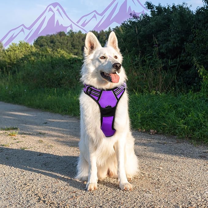 Eagloo Dog Harness for Large Dogs, No Pull Service Vest with Reflective Strips and Control Handle, Adjustable and Comfortable for Walking, No Choke Pet Harness with 2 Metal Rings, Purple, XL-PurrikoPets