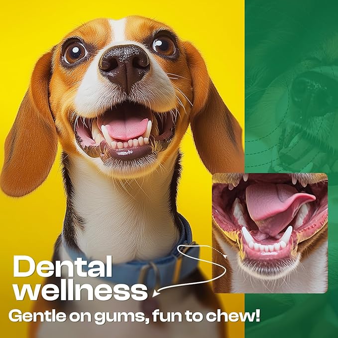 Dog Toys for Aggressive Chewers - Heavy Duty Chew Proof Durable Toy for Large Breed Dogs, Interactive Tough Nylon Bone for Boredom Relief & Mental Stimulation-PurrikoPets