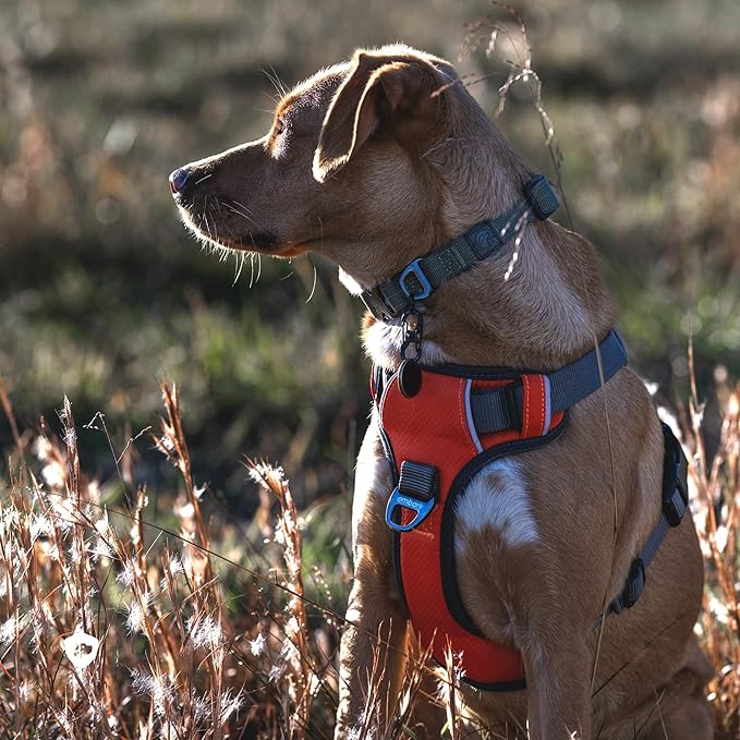 Embark Adventure Dog Harness, Reflective Trim No Pull Dog Harness Medium Sized Dogs - Military Grade Nylon, Front Clip with Gel Lined Handle.-PurrikoPets