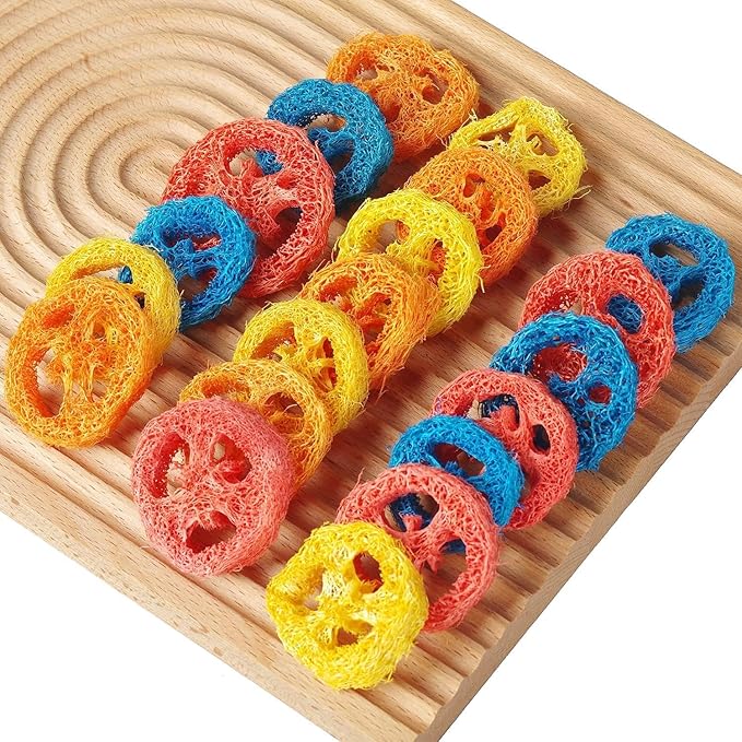 15 Pcs Fruit Flavored Loofah Slices Rabbit Chew Toys Guinea Pig Chew Toys Small Pet Chews Bunny Toys for Teeth Rabbit Toys-PurrikoPets