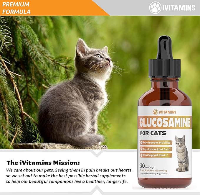 Glucosamine for Cats | Cat Glucosamine | Glucosamine for Cats Liquid | Cat Joint Supplement | Joint Supplement for Cats | Cat Joint Pain Relief | Joint Support for Cats | 1 fl oz: Chicken Flavor-PurrikoPets