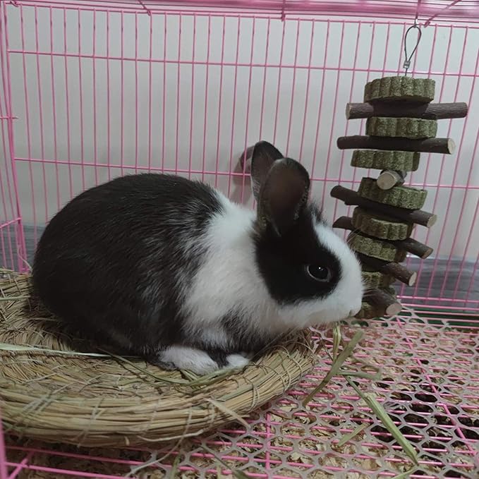 Generic Rabbit Bunny Treat Hamster Chew Toys Grass Cakes Heart Shaped Chew Toys Pets Treats for Bunny Rabbits Hamster Chinchilla Guinea Pigs 2Pcs-PurrikoPets