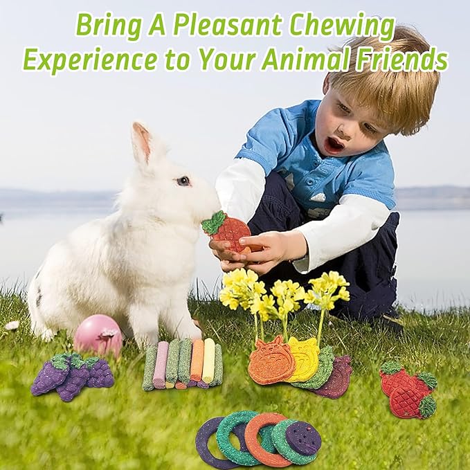 Fhiny 27 PCS Natural Bunny Chew Toys Molar Rabbit Toys Contain Timothy Grass Pumpkin Beets Purple Potatoes Carrot Hamster Treats for Chinchillas Guinea Pigs Mice Gerbils Teeth Grinding-PurrikoPets