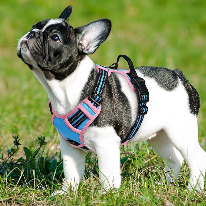Eagloo Dog Harness Small Sized Dog, No Pull Service Vest with Reflective Strips and Control Handle, Adjustable and Comfortable for Walking, No Choke Pet Harness with 2 Metal Rings, Pink & Blue, S-PurrikoPets