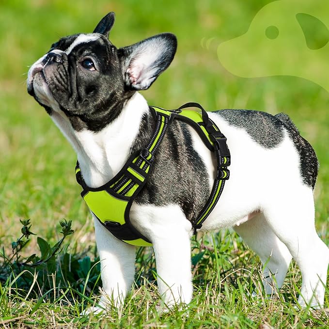 Eagloo Dog Harness Small Sized Dog, No Pull Service Vest with Reflective Strips and Control Handle, Adjustable and Comfortable for Walking, No Choke Pet Harness with 2 Metal Rings, Green, S-PurrikoPets
