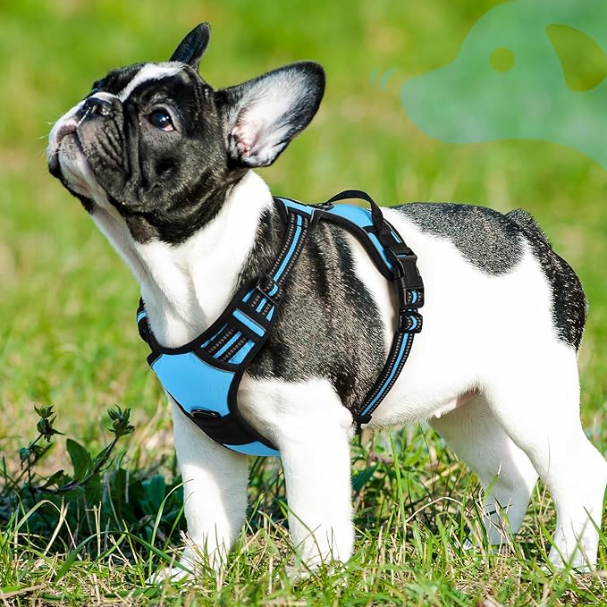 Eagloo Dog Harness Small Sized Dog, No Pull Service Vest with Reflective Strips and Control Handle, Adjustable and Comfortable for Easy Walking, No Choke Pet Harness with 2 Metal Rings, Sky Blue, S-PurrikoPets