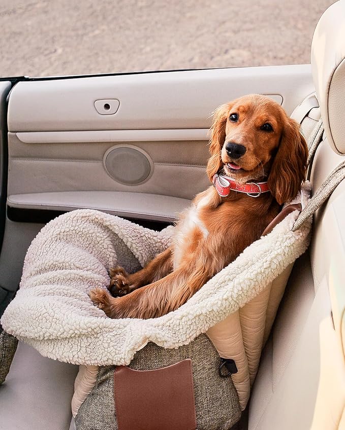 Dog Travel Bag | Cat Carrier | Small Pet Taxi | Lightweight Soft-Sided Tote, Car-Seat Compatible, Washable, 6–20 lb | Vegan Materials | Brown-PurrikoPets