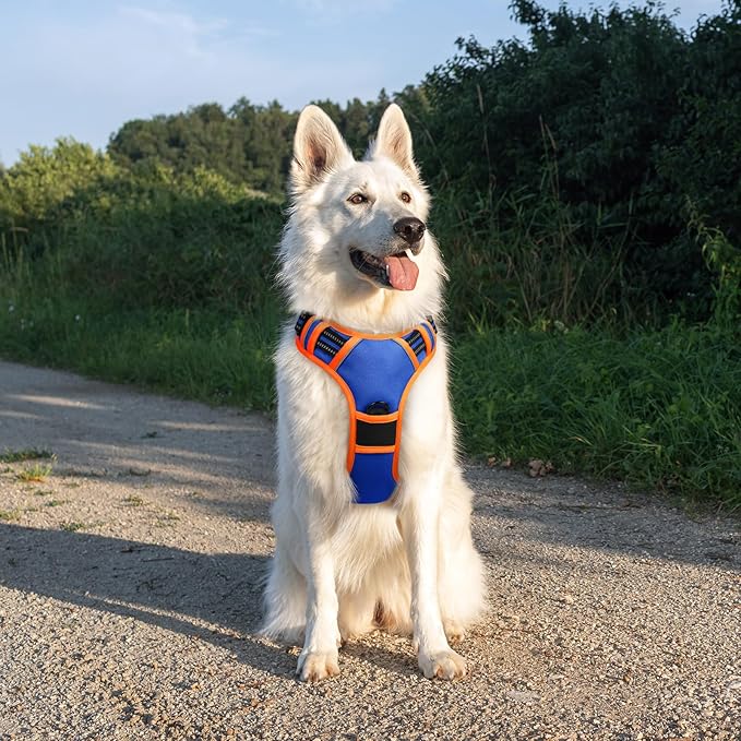 Eagloo Dog Harness for Large Dogs, No Pull Service Vest with Reflective Strips and Control Handle, Adjustable and Comfortable for Walking, No Choke Pet Harness with 2 Metal Rings, Blue & Orange, XL-PurrikoPets