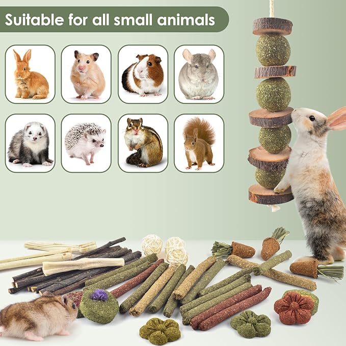 ERKOON Bunny Toys Boredom, 42 PCS Bunnies Timothy Hay Sticks Carrots Rose Grass Cake Dental Care, Molar, Chinchillas Toy Chew Toy, Guinea Pigs, Hamsters, Chinchilla, Rabbit Chew Toys for Teeth-PurrikoPets