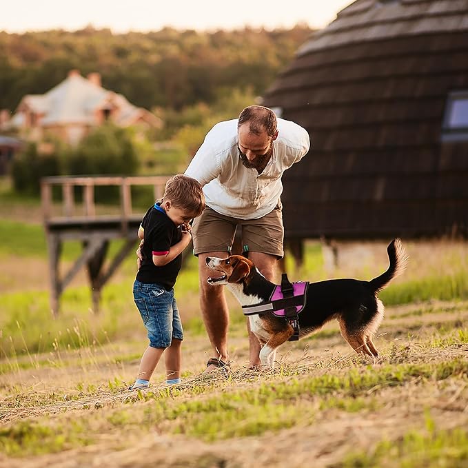 Dogline Dog Harness, Reflective No-Pull Adjustable Vest with Handle for Walking, Training, Breathable, No - Choke Harness for Small, Medium or Large Dogs Room for Patches Girth 33"-46" in Pink-PurrikoPets