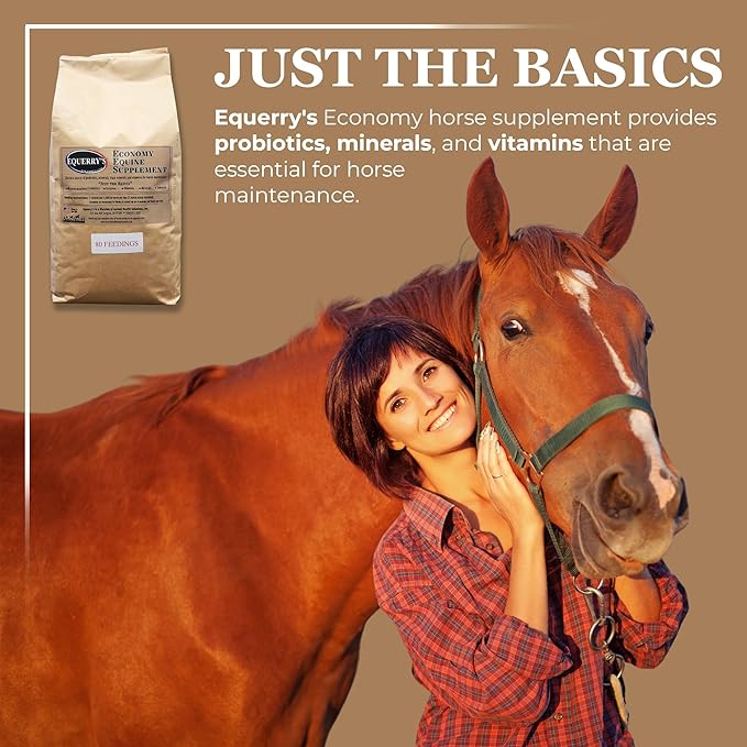 Equerry's Economy Equine Supplement - Horse Probiotics | Supplement for Horses | Horse Vitamins and Minerals Supplement with Enzymes and Selenium, 10lb-PurrikoPets