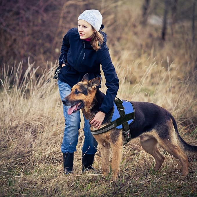 Dogline Dog Harness, Reflective No-Pull Adjustable Vest with Handle for Walking, Training, Breathable, No - Choke Harness for Small, Medium or Large Dogs Room for Patches Girth 27 to 34 in Cyan Blue-PurrikoPets