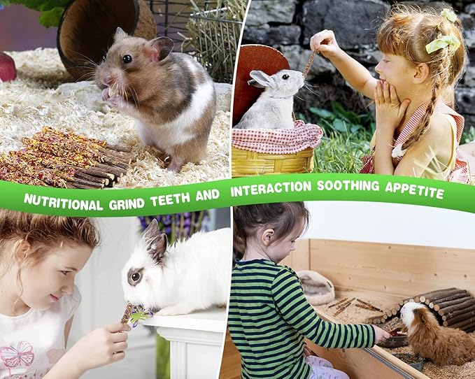 Abizoo Bunny Chew Toys for Rabbits,18PCS Natural Apple Wood Sticks with Petals Good for Chinchillas Guinea Pig Hamster Teeth Care, Bunny Small Pet Treats Teething Toys| Natural Organic Safe-PurrikoPets