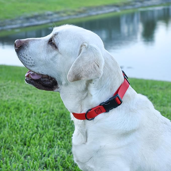 Dogline Biothane Waterproof Dog Collar with Quick Release Buckle Strong Coated Nylon Webbing with Odor- Proof for Easy Care Easy to Clean Fits Small Medium Large Dogs, Red 5/8" W 9-14" L-PurrikoPets