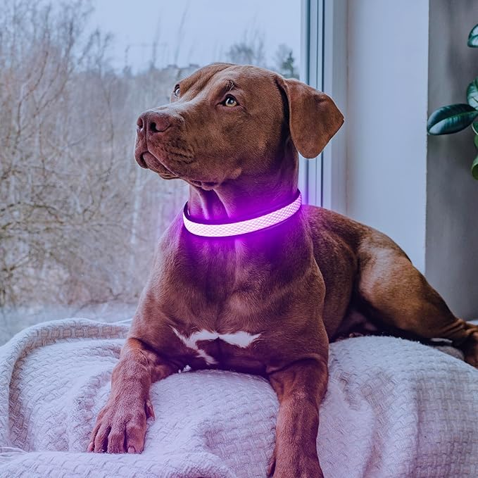 Flashseen LED Dog Collar, Light Up Dog Collar Light USB Rechargeable, Adjustable Comfortable Soft Mesh Safety Collar for Small, Medium, Large Dogs(Large, Purple)-PurrikoPets