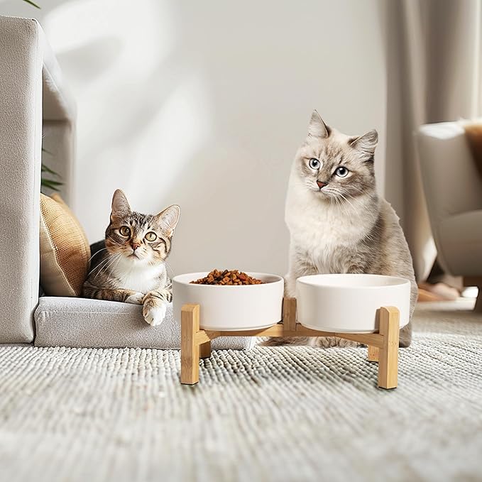 Elevated Ceramic Dog Bowl Set - Raised Feeding Bowls with Non-Slip Bamboo Stand - Small Pet Dishes for Food and Water - Ideal for Cats and Puppies - 16.23 OZ - 2 Cups - 480 ML-PurrikoPets
