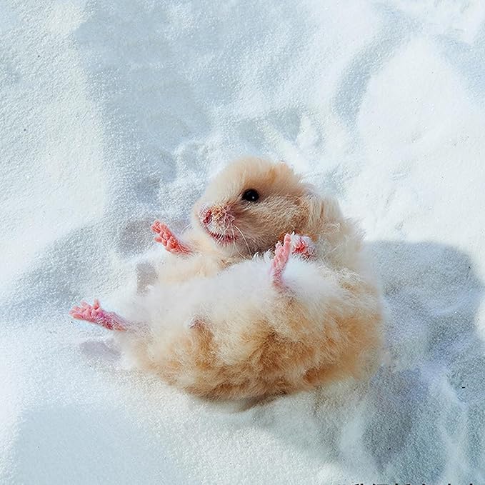 DR.DUDU Hamster Bath Sand, 12lb Dust Free Desert Sand or Potty Litter Sand for Hamster Chinchillas Gerbil Syrian Mice Small Animals (White)-PurrikoPets