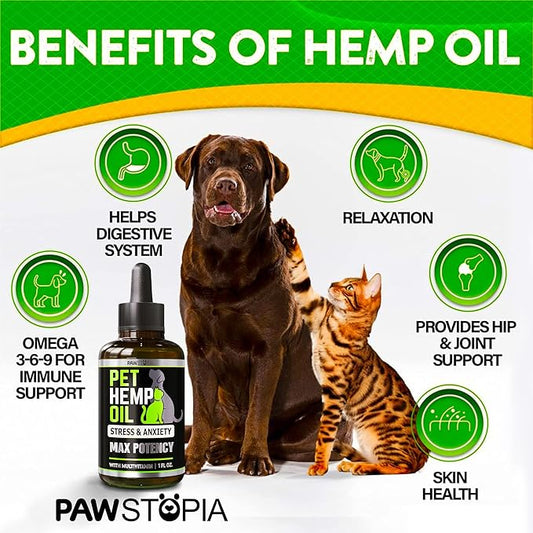 (2 Pack) Hemp Oil for Dogs and Cats - Helps Pets with Anxiety, Pain, Stress, Sleep, Arthritis, Seizures Relief - Cat Anxiety Relief - Omega 3-6-9 - Pet Hemp Oil Drops Treats - Hip and Joint Support-PurrikoPets
