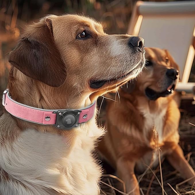 AirTag Dog Collar - Leather Dog Collar with Air Tag Holder | IPX8 Waterproof, Reflective, High - End, Adjustable Soft Padded | Dog GPS Tracker Collars Fit for Medium Large Dogs (Pink, XL)-PurrikoPets