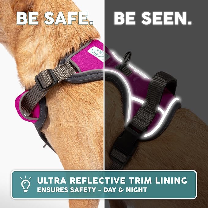 Embark Adventure Dog Harness, Reflective Trim No Pull Dog Harnesses for Small Sized Dogs - Military Grade Nylon, Front Clip with Gel Lined Handle.-PurrikoPets