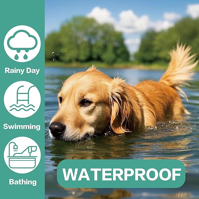 Flea Collar for Dogs, Flea and Tick Prevention for Dogs Collar, Dog Flea and Tick Treatment, 2 Collars, 12 Months Prevention, One Size Fits All-PurrikoPets