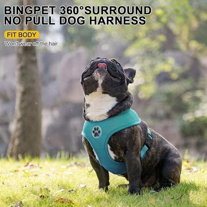 BINGPET Small Dog Harness - Breathable Mesh Puppy Cat Harnesses - No Pull Adjustable Dog Harness Dog Vest Harness for Small and Medium Dogs-PurrikoPets