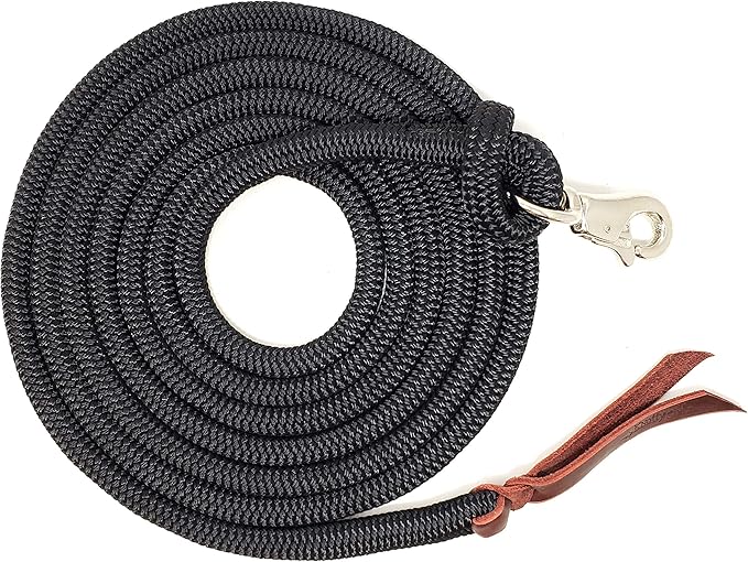 12FT Lead Rope with NP Snap-PurrikoPets