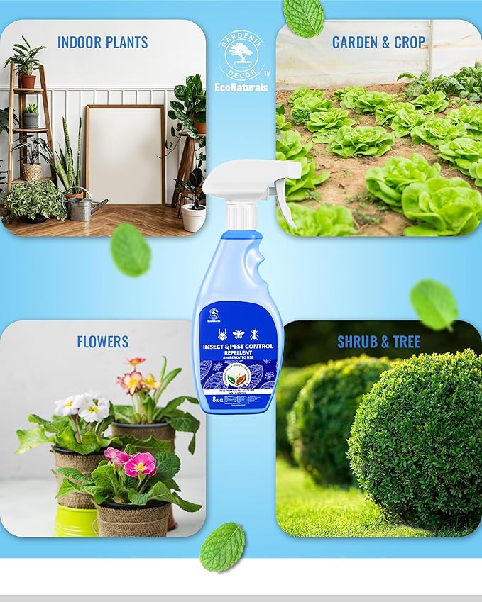 All Natural Bug Spray for Home - Non-Toxic Peppermint Oil Insect and Pest Control Kit - 8 oz Ready-to-Use Bug Spray - Indoor and Outdoor Protection- Ant Spray - Spider Repellent Indoor-PurrikoPets