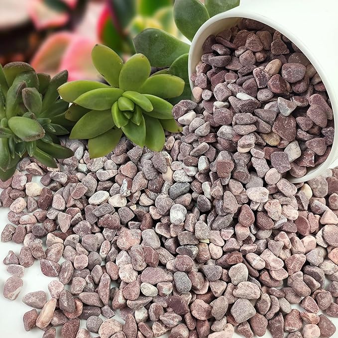 5 lbs Succulent and Cactus Pebbles for Indoor Plants, 3/8 Inch Pea Gravel Decorative Red River Rocks for Plants, Vases, Terrarium, Aquarium, Potted Top Dressing and Outdoor Landscaping Stones-PurrikoPets