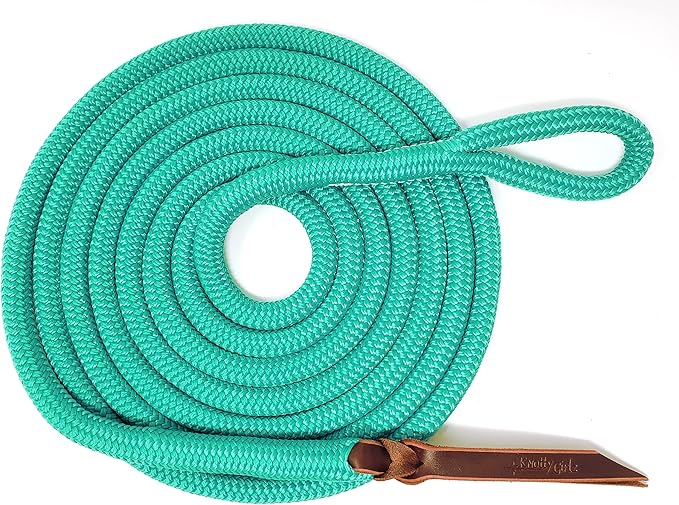 Double Braid Lead Rope with Eye Splice Loop, 12-14FT Lengths (Turquoise, 14 ft.)-PurrikoPets