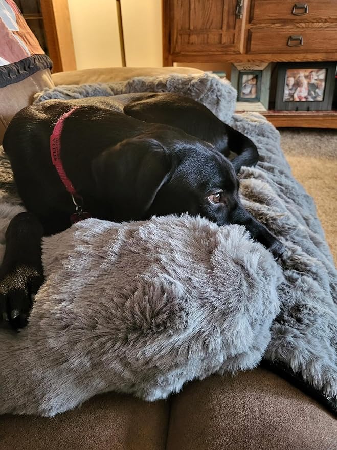 FUNNY FUZZY Pet Fluffy Fuzzy Couch Cover, Calming Washable Dog Bed Sofa Protector Pets Mat for Small Medium Dogs and Cats (Grey,33.45 × 28.35 × 5.51 in)-PurrikoPets